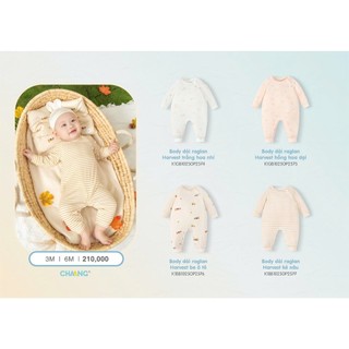 Chaang AW2025 Body dài raglan Harvest cho bé T10.3