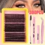 Bộ Lông Mi Giả D Curl Hỗn Hợp Với Nhíp Sealer Cụm Đơn Sợi Tổng Hợp Mi