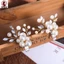 2 Chiếc Kẹp Giày Kim Cương Giả Ngọc Trai Handmade Cho Nữ Trang Trí Hợp Kim Thanh Lịch
