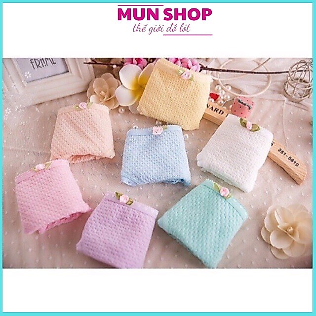 Combo 10 quần cotton sợi bông