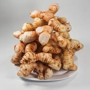 ​[CỦ RIỀNG TA] Củ Riềng Tươi Cực Thơm - Cay Nồng, Giòn Ngon, Hàng Mới Mỗi Ngày