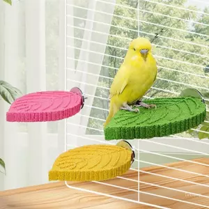 Cá rô vẹt hàng đầu có thể nhai được để điều hòa mỏ và giải trí lồng
