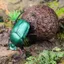 Máy trợ giảng Mô phỏng Động vật côn trùng hoang dã Mô hình đồ chơi Roach Shit Shell Lang Scarab Campus Đồ trang trí nhận thức Chiều cao 1,2cm
