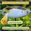 Bee Waterer Thang Bee Waterer Butterfly Waterer Trạm uống nước ong cho bể bơi Sân vườn Ao Patio mueadsyvn
