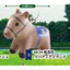 Hàng có sẵn Nhật Bản ULCAP Capsule Toy Super Riding Horse Huyền thoại ngựa nổi tiếng Mặt dây chuyền 26th ED3H