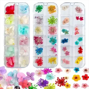 Ooolala Nhật Bản Henna 12 Lưới Dài Dải Hộp Hydrangea Gypsophila Daisy Hoa Bất Tử Henna