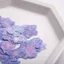 Ooolala Màu Chính Tự Nhiên Đa Chân Hydrangea Bấm Hoa Epoxy Ốp Điện Thoại diy Hoa Thật Coaster Bấm Hoa Khung Ảnh Filler