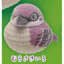 Hàng có sẵn Nhật Bản Qitan Capsule Toy Sparrow Tumbler Flocking Đồ trang trí Đầu dễ thương Xoay được S4B8