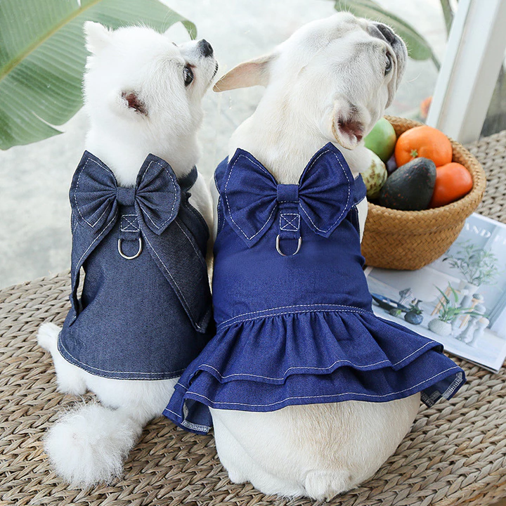 Váy denim cho chó và mèo cỡ trung bình và lớn, đồ dùng cho thú cưng khi dắt chó đi dạo, dây dắt mèo