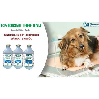 Combo 10 chai 500ml Energi VB Pharma cung cấp năng lượng cho trâu bò gia súc vật nuôi