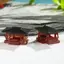Tượng nhỏ Pavilion Cây cảnh Nament Trang trí sân vườn Tượng phong cảnh vi mô Mô hình Gazebo Zen Đồ dùng sân vườn Sân Roery VN