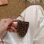 Da Kính Hộp Đựng Kính Mát Túi Kính Từ Tính Kẹp Dây Dài Ví Đựng Tiền Xu Túi Tai Nghe Nữ