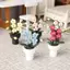 MJnmc Sống Động Như Thật Thu Nhỏ Giả Phalaenopsis Hoa Lan Chậu Cây Bền Nhà Búp Bê Trang Trí Cho Trẻ Em DIY Nhà Búp Bê Cảnh Trang Trí Quà Tặng Mới