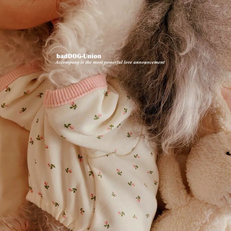 Quần áo thú cưng mùa hè Quần áo cho chó Bộ đồ Vest mèo Teddy Pomeranian