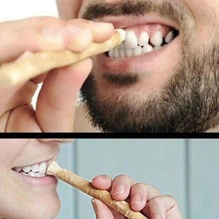 Bàn chải Miswak JKDESIGN mềm, thân thiện môi trường, không cần kem, que truyền thống dùng khi du lịch