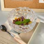 Sáng Tạo Bong Bóng Vòng Sữa Chua Salad Bát Thủy Tinh Bát Trái Cây Đường Nước Chim Tổ Bát Ánh Sáng Pha Lê Sang Trọng Món Tráng Miệng Bát Tremella Bát EM7F