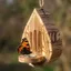 QEARY Wood Butterfly Bee House, Rustic Teardrop Hình Treo Bướm Ăn, Cửa Sau Chịu Thời Tiết Mở Nơi Trú ẩn Tự Nhiên Nhà Ăn Côn Trùng Sử Dụng Sân Vườn Ngoài Trời