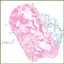Bảng bơi Thiết bị tập thể dục nổi Bảng nổi cho bể bơi Mở nước Lap Lane Lake River School kouvn