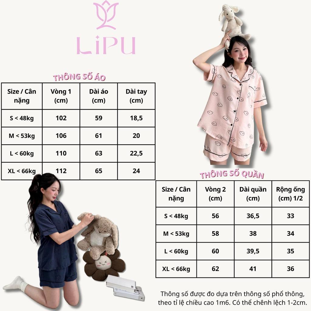 Set Pyjama Cộc Cổ Bẻ Họa Tiết Gấu Pha Viền S01 LIPU
