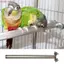 Giá đỡ đồ chơi chim CODECOVED, Trạm tập thể dục răng miệng Đường kính 1,9cm Cá rô vẹt bằng thép không gỉ, Dễ dàng làm sạch 15-30m Bền chống mài mòn Chân đế chim Budgerigars