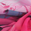 Khăn voan PYCOU, Khăn choàng dài hoa 160 * 50cm, Khăn choàng lụa chống nắng có thể giặt được màu Gradient thời trang dành cho nữ