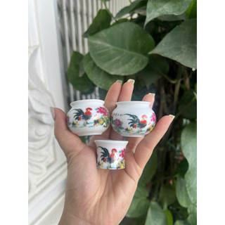 1 bộ 3 chiếc cóng chim chào mào, chích choè miệng lật hàng decal tàu nhiều hoạ tiết bắt mắt đã gắn sẵn tai
