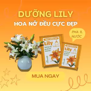 Đặc Biệt - Hộp 20 gói nước dưỡng hoa Lily chuyên dụng cho hoa Ly - hoa tươi lâu hơn 17 Ngày