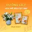 Đặc Biệt - Hộp 20 gói nước dưỡng hoa Lily chuyên dụng cho hoa Ly - hoa tươi lâu hơn 17 Ngày