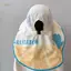 PNPIA- Mũ chống nắng vành rộng cho trẻ em Quạt sạc năng lượng mặt trời Ne Flap UV Bảo vệ cho các hoạt động đi biển mùa hè