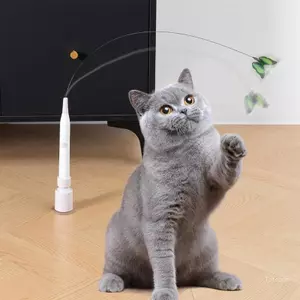 Đồ chơi mèo vui nhộn hàng đầu bất kỳ ngày nào có thiết kế hình con bướm để chơi chủ động thúc đẩy sức khỏe thể chất và giảm lo âu ở Ca