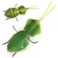 Mô phỏng xuyên biên giới cho trẻ em Mô hình côn trùng hoang dã Stifler Leaf Back Mantis Leaf Mantis Tricky Toy Đồ trang trí nhận thức Chiều cao 2cm