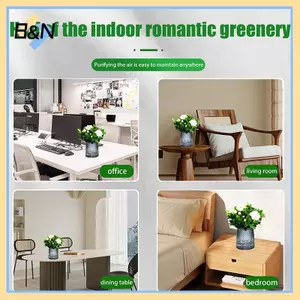 B & N Chậu hoa bằng nhựa tự tưới nước hai lớp Cây thủy canh Chậu cây cảnh Bình mọng nước Trang trí văn phòng tại nhà dành cho người đam mê sân vườn.