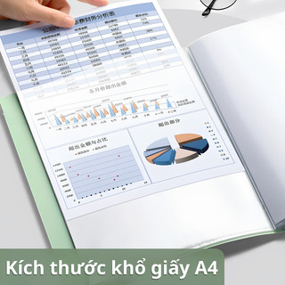 File Lá Đựng Tài Liệu A4 Nhựa Pastel Trong Suốt - Tệp Kẹp Hồ Sơ, Đựng Đề Thi Học Sinh Nhiều Ngăn Siêu Bền