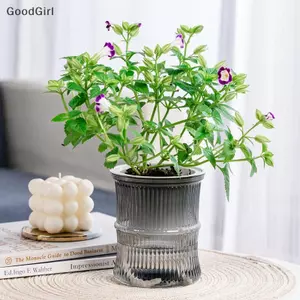 Chậu hoa thủy canh lười biếng Chậu hoa thấm nước tự động Chậu hoa trong suốt hai lớp bằng nhựa tự tưới nước Văn phòng VN