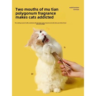 Cat Molar Stick Self-Happy Boredom Công cụ tiện dụng