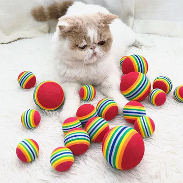 10 / 5 / 1 Chiếc Mèo Bóng Đồ Chơi Tương Tác Cầu Vồng Bóng Thú Cưng Nhai Đồ Chơi Cho Chó Mèo Bouncy Mèo Chơi Đồ Chơi Huấn Luyện Đồ Dùng Cho Thú Cưng