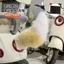 Xe Điện Điều Khiển Giọng Nói Điện Sang Trọng Đuôi Xe Phía Sau Trang Trí Dễ Thương Gradient Cô Gái Dễ Thương Sang Trọng Đuôi SLBU