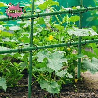 [PNPIA] 20 Chiếc Kẹp Trellis Sân Vườn Kim Loại Cây Nho Cọc Kết Nối Khung Leo Khóa Cho Cà Chua Dưa Chuột Rau Hỗ Trợ VN