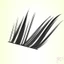Dream Deer Princess Cat Eye Lông mi giả Đường kính 0,07mm C Curl Black 11-14mm Chiều dài hỗn hợp