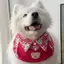 Hoạt Hình Dễ Thương Nước Bọt Khăn Ngày Lễ Túi Tròn Nhỏ Vừa Chó Lớn Samoyed Vàng Retriever Yếm