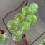 CATMALLER88 Đồ chơi giảm căng thẳng mềm, Thiết kế ngộ nghĩnh Hình quả nho xanh Đồ chơi Squishy trái cây, Di động bóng thực tế có thể tái sử dụng Thư giãn bóp tăng chậm