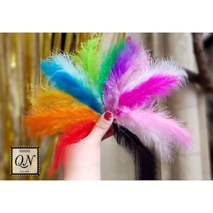 10 sợi Lông vũ nguyên sợi mềm làm dreamcatcher