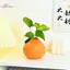 HL Cam Trái Cây Hình Bình Sinh Sản Men Bình Để Bàn Nghệ Thuật Bình Để Bàn Trang Trí Hoa Trung Tâm LMWU