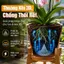 🔥Đế lót chậu nhựa hình nón thoát khí chống thối rễ |Lót đáy chậu thoát nước dạng lưới |Đệm lót chậu cây chống ngập úng