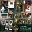 Bán Sản Phẩm Mới Mùa Xuân Núi Vương Quốc Photocard Hàng Hóa Bưu Thiếp Laser Vé Mờ Gypsophila Hỗn Hợp Bộ Lưu Niệm Tự Chế Chất Lượng Cao
