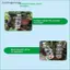 {BUDDI} Máy tưới nước tự động Thiết bị tưới nhỏ giọt lưu lượng nước có thể điều chỉnh Dụng cụ làm vườn bền cho hoa ban công tại nhà {buddingenergy}