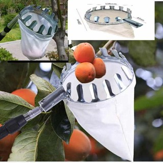 vợt đầu sào hái trái cây trên cao,dụng cụ hái trái cây
