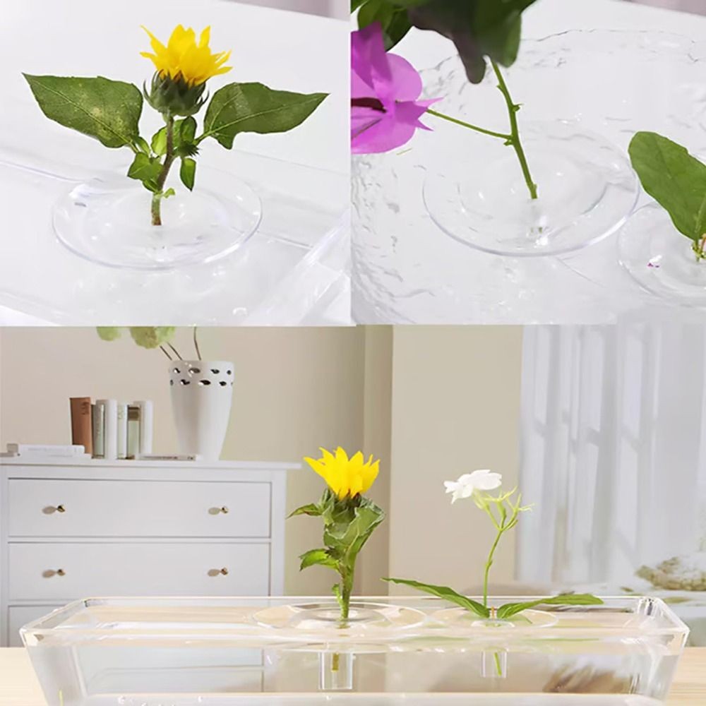 TOPTOOLCX Đế trưng bày nổi, hộp đựng thủy canh, giá đỡ sắp xếp, bát hoa DIY