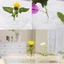 Giá đỡ trưng bày hoa nổi GILL, Sắp xếp hoa DIY Giá đỡ sắp xếp hoa nổi, Hộp đựng hoa thủy canh Dụng cụ sắp xếp hoa nổi