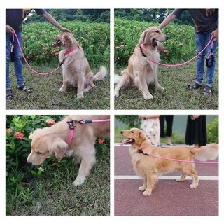 Nhỏ Vừa Chó Kích Thước Chống Cháy Nổ Đấm Đồ Cho Thú Cưng Dây Xích Chó Dây Xích Chó Phản Quang Có Thể Điều Chỉnh Chó Đi Bộ Dây Xích